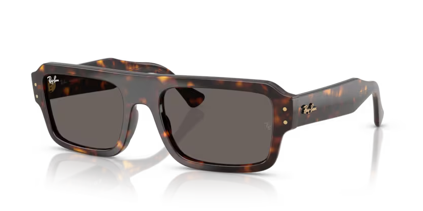 Ray-Ban 4454